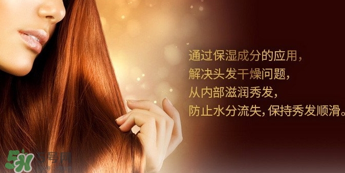 indefinie是什么牌子？indefinie洗發(fā)水怎么樣？