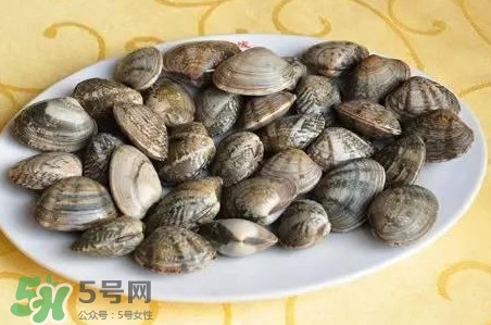 蛤蜊和花甲一樣嗎？蛤蜊和花甲的區(qū)別
