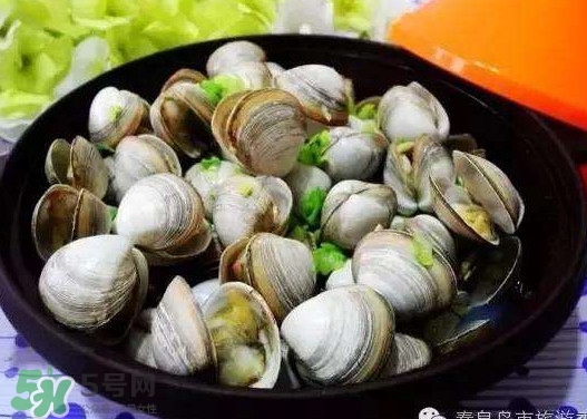 蛤蜊蒸蛋孕婦能吃嗎？蛤蜊蒸蛋寶寶能吃嗎