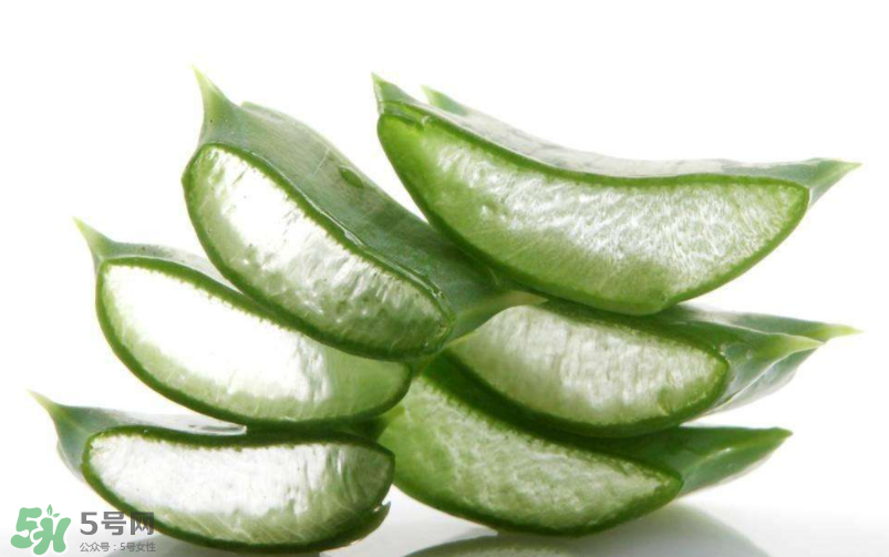 敏感肌能使用蘆薈護(hù)膚嗎？蘆薈膠有什么用？