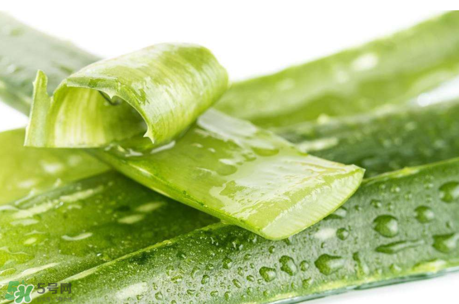 敏感肌能使用蘆薈護(hù)膚嗎？蘆薈膠有什么用？