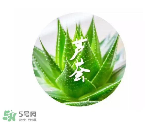 蘆薈膠的醫(yī)療作用有哪些？蘆薈膠的使用方法有哪些？