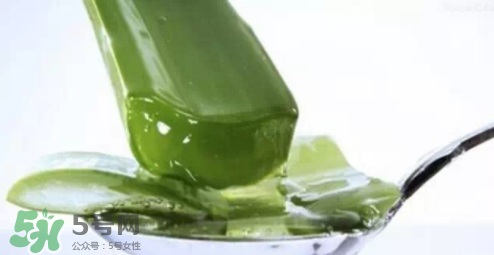 蘆薈怎么吃？蘆薈番茄湯的做法 