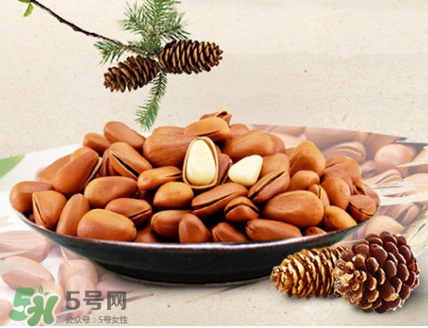 松子什么時(shí)候成熟？松子什么時(shí)候吃最好