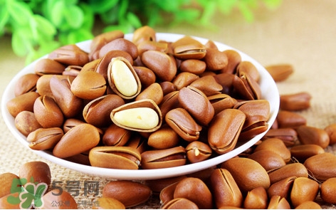 松子什么時(shí)候成熟？松子什么時(shí)候吃最好