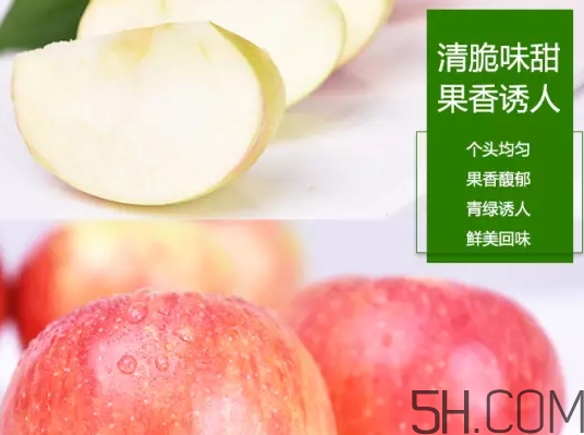 美八蘋果價格多少錢？美八蘋果多少錢一斤？