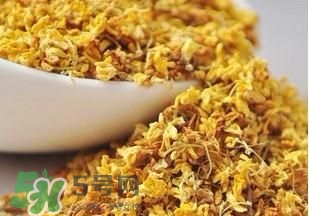 桂花茶怎么泡？桂花茶泡水喝的禁忌 