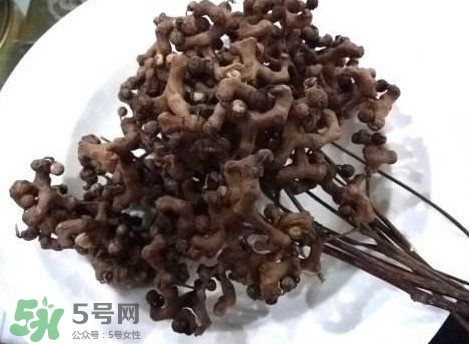 拐棗可以嫁接嗎？拐棗是哪里的特產(chǎn)