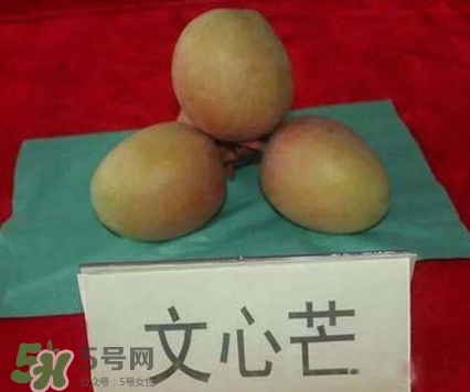 芒果有哪些品種？哪種芒果最好吃？