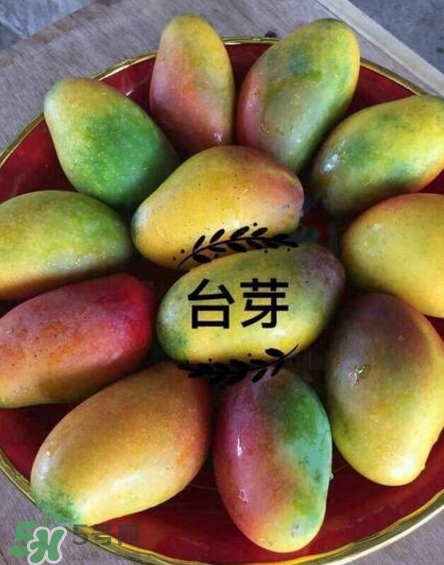 芒果有哪些品種？哪種芒果最好吃？