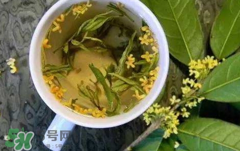 桂花茶怎么泡好喝？桂花茶怎么制作？