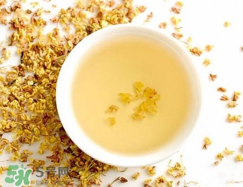 桂花茶怎么泡好喝？桂花茶怎么制作？