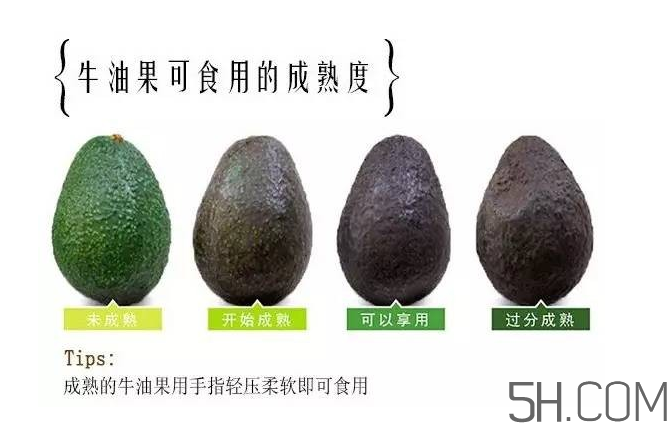 牛油果和香蕉一起能多吃嗎？牛油果挑什么樣的好？