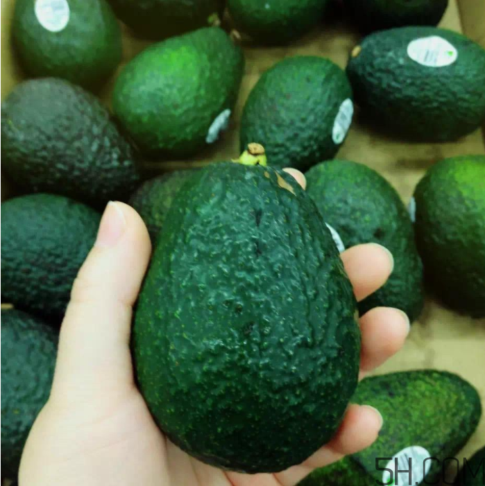 牛油果是熱性還是寒性？牛油果輔食推薦