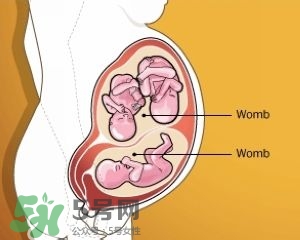 雙子宮是什么意思？雙子宮可以順產(chǎn)嗎？