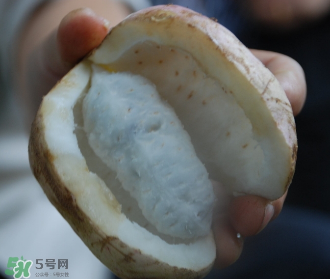 八月瓜可以經(jīng)常吃嗎？八月瓜可以多吃嗎？