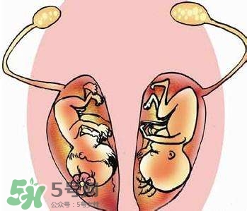 雙子宮對懷孕有影響嗎？雙子宮懷孕要注意什么？