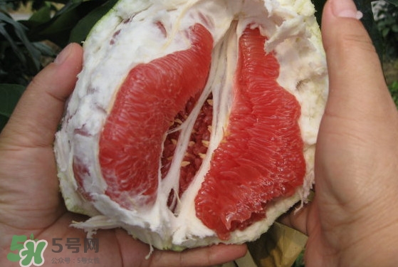 紅肉蜜柚可以儲存多久？紅肉蜜柚怎么挑選