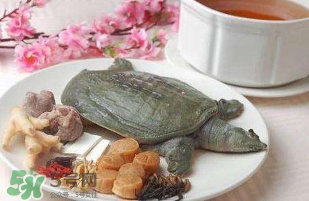 腳魚(yú)是什么？腳魚(yú)和烏龜?shù)膮^(qū)別