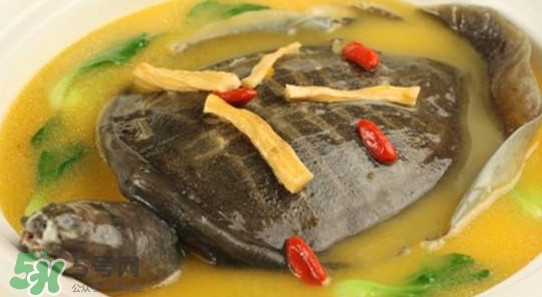 腳魚(yú)有靈性嗎？腳魚(yú)吃了有什么好處