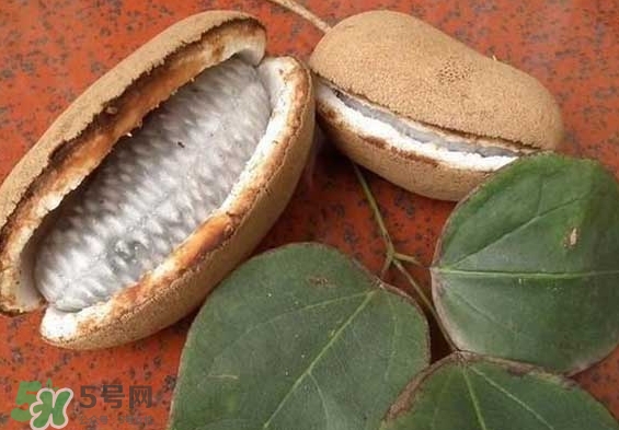 八月瓜能放冰箱嗎？八月瓜怎么保存？