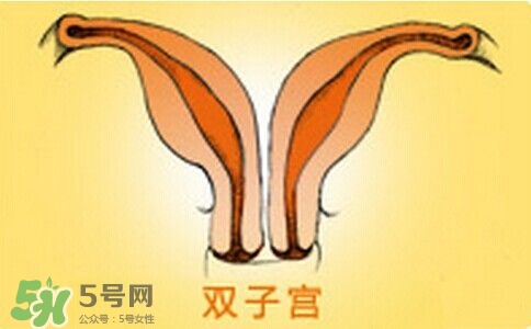 雙子宮是什么意思？雙子宮可以順產(chǎn)嗎？