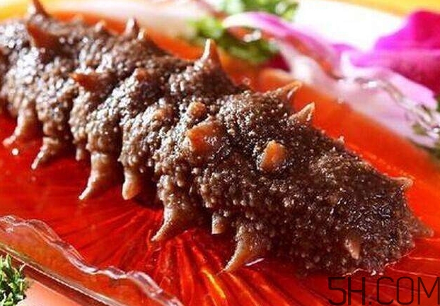 海參能和西紅柿一起吃嗎？海參和什么一起吃最好？