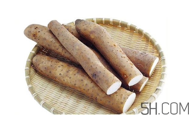 山藥發(fā)芽怎么處理？山藥的功效及作用