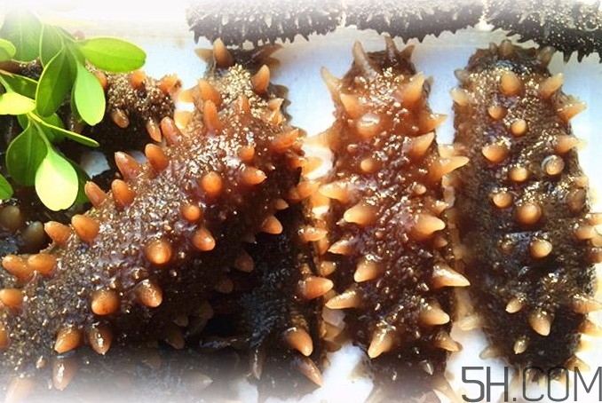 海參能和西紅柿一起吃嗎？海參和什么一起吃最好？