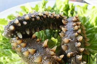 術后能吃海參嗎？術后吃海參的功效與作用