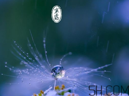 2017年寒露會下雨嗎？寒露下雨好嗎？