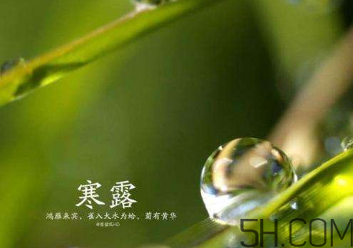 2017年寒露會下雨嗎？寒露下雨好嗎？