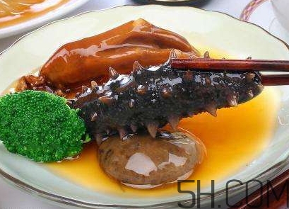 海參是海鮮嗎？海參是動物還是植物？