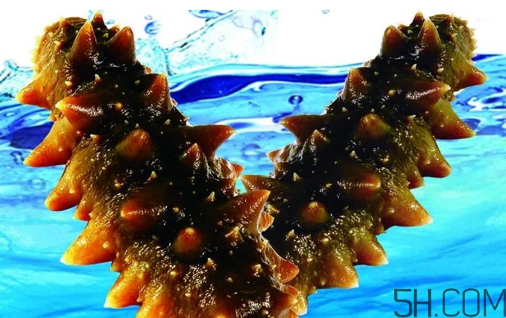 海參是酸性還是堿性？海參是涼性還是熱性？