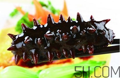 海參是高蛋白食物嗎？海參是素食嗎？