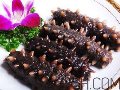 海參是高蛋白食物嗎？海參是素食嗎？