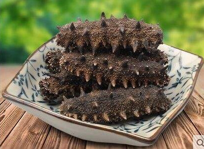 海參刺多好還是刺少好？海參沒有刺是怎么回事？