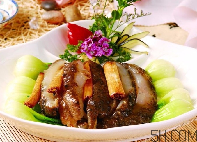 海參是高蛋白食物嗎？海參是素食嗎？