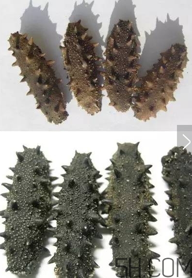 海參顏色深好還是淺好？海參顏色發(fā)白時(shí)怎么回事？
