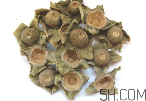柿蒂治打嗝怎么煮水？柿蒂的功效與作用