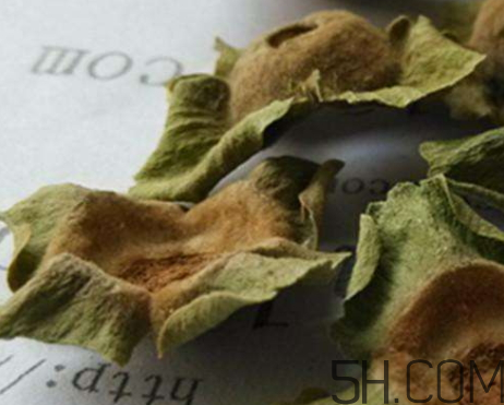 柿蒂治打嗝怎么煮水？柿蒂的功效與作用