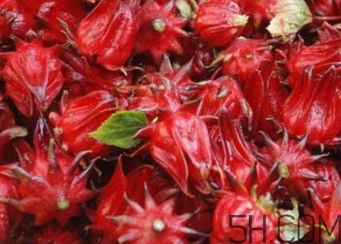 洛神果是什么？洛神果和洛神花區(qū)別