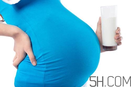 孕婦奶粉能加糖嗎？孕婦奶粉能不能加蜂蜜？
