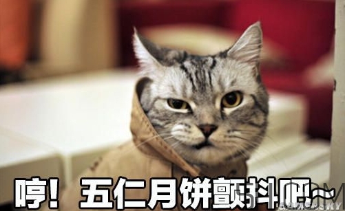 十仁月餅是哪十仁？十仁月餅好吃嗎