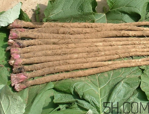 牛蒡是牛大力嗎？牛蒡和牛大力的區(qū)別