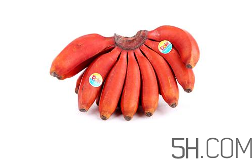 紅香蕉和普通香蕉的區(qū)別？香蕉可以放冰箱冷凍嗎？