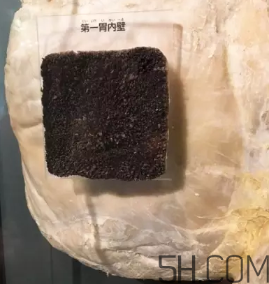 牛百葉和毛肚是一個(gè)東西嗎？牛百葉上面有層黑皮能吃嗎？