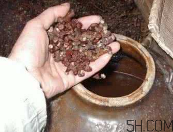 拐棗能泡酒嗎？拐棗能和蜂糖一起泡酒嗎？
