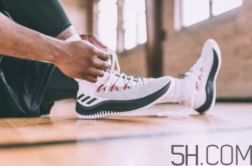 adidas dame 4多少錢？阿迪達(dá)斯利拉德四代上腳效果