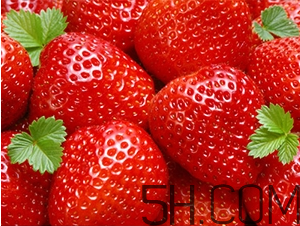 草莓都有哪些熱門品種？草莓怎么放不容易壞？